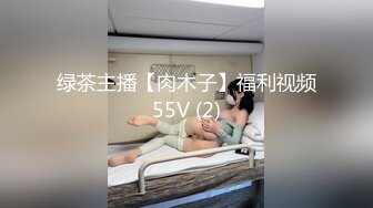 绿茶主播【肉木子】福利视频55V (2)