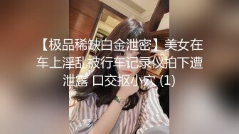 【极品稀缺白金泄密】美女在车上淫乱被行车记录仪拍下遭泄露 口交抠小穴 (1)