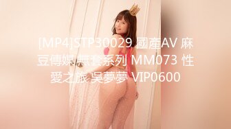 [MP4]STP30029 國產AV 麻豆傳媒 無套系列 MM073 性愛之旅 吳夢夢 VIP0600