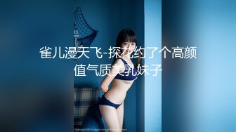 雀儿漫天飞-探花约了个高颜值气质美乳妹子