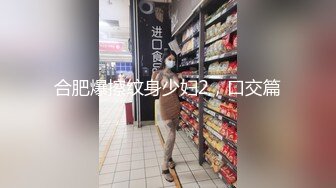 合肥爆擦纹身少妇2，口交篇