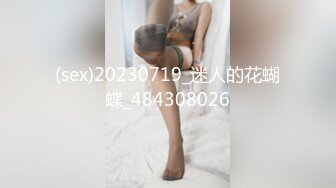 (sex)20230719_迷人的花蝴蝶_484308026