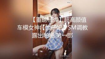 ⭐⭐⭐【重磅核弹】超高颜值车模女神【太子妃】SM调教露出啪啪 第一部