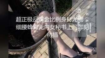 超正极品黄金比例身材尤物，细腰蜂臀无内女秘书上门即刻待插