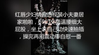 红唇少妇情趣透视装小夫妻居家啪啪，69口交舔逼腰细大屁股，坐上来自己动快速抽插，操完再用震动棒自慰一番