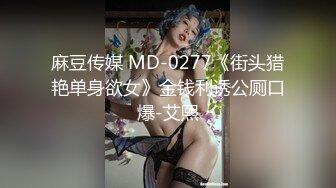 麻豆传媒 MD-0277《街头猎艳单身欲女》金钱利诱公厕口爆-艾熙