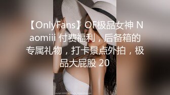 【OnlyFans】OF极品女神 Naomiii 付费福利，后备箱的专属礼物，打卡景点外拍，极品大屁股 20