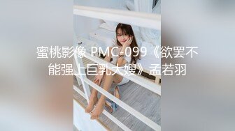 蜜桃影像 PMC-099《欲罢不能强上巨乳大嫂》孟若羽