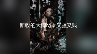 新收的大胸M，又骚又贱