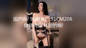 国产AV 91制片厂 91CM206 借贷肉偿 林丽的啊!