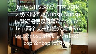 [MP4]STP23827 白衣D罩杯大奶长腿御姐&nbsp;&nbsp;包臀短裙很是风骚&nbsp;&nbsp;两个大车灯摸穴调情&nbsp;&nbsp;骑乘后入爆插&nbsp;&nbsp;操的大奶