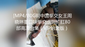 [MP4/80GB]中国拳交女王周晓琳重口味拳交虐阴扩肛80部高清合集（VIP铂金版）