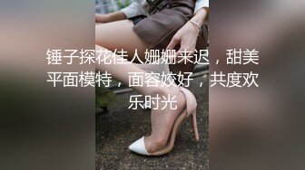 锤子探花佳人姗姗来迟，甜美平面模特，面容姣好，共度欢乐时光