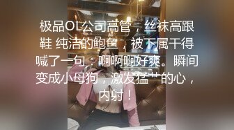 极品OL公司高管，丝袜高跟鞋 纯洁的鲍鱼，被下属干得喊了一句：啊啊啊好爽。瞬间变成小母狗，激发猛艹的心，内射！