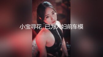 小宝寻花  已为人妇前车模