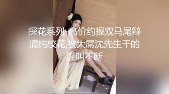 探花系列-高价约操双马尾辩清纯校花,被大屌沈先生干的淫叫不断