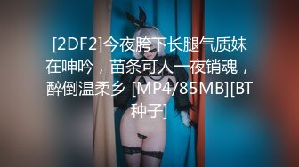 [2DF2]今夜胯下长腿气质妹在呻吟，苗条可人一夜销魂，醉倒温柔乡 [MP4/85MB][BT种子]