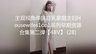 主观视角单挑巨乳家庭主妇Housewifes1on1系列早期资源合集第二弹【48V】 (28)